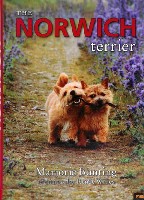 The Norwich terrier